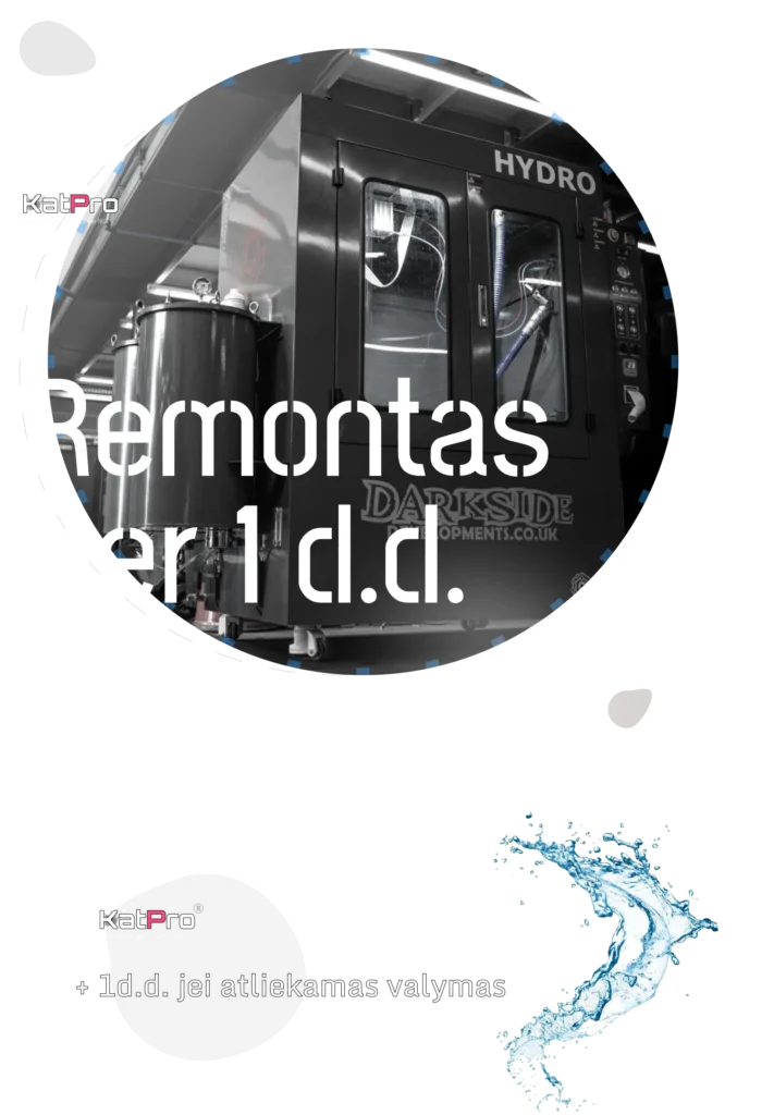 katalizatoriu dpf filtru remontas per diena