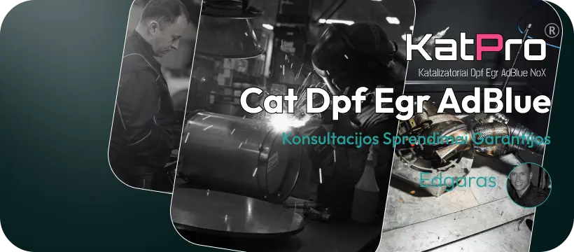 katalizatoriu nuoma kaune vilniuje klaipedoje