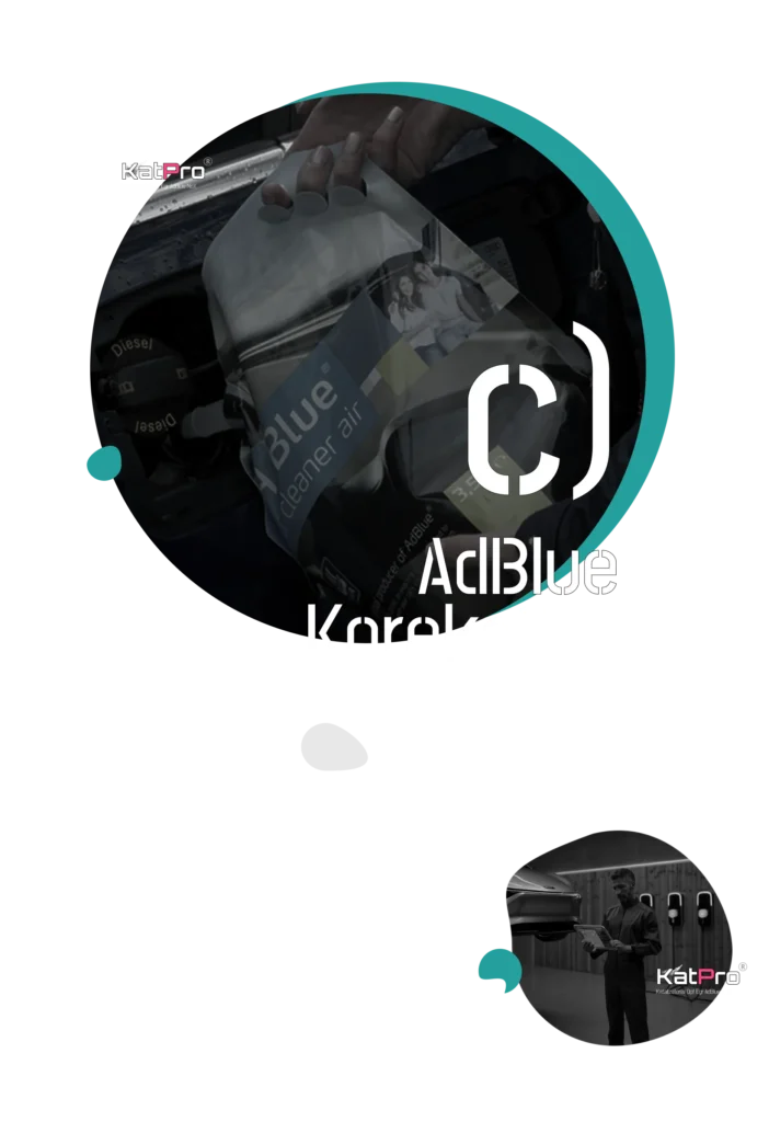 adblue isprogramavimas kaune vilniuje klaipedoje kaina