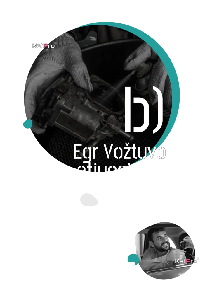 egr voztuvo isprogramavimas kaune vilniuje klaipdoje